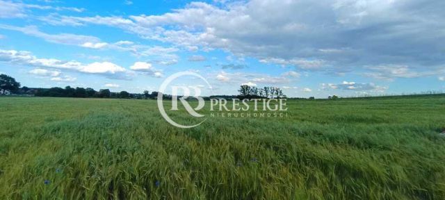 Działka budowlana Bielkowo. Zdjęcie 5