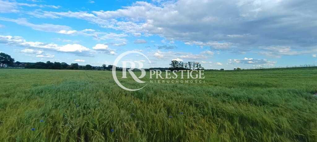 Działka budowlana Bielkowo. Zdjęcie 5