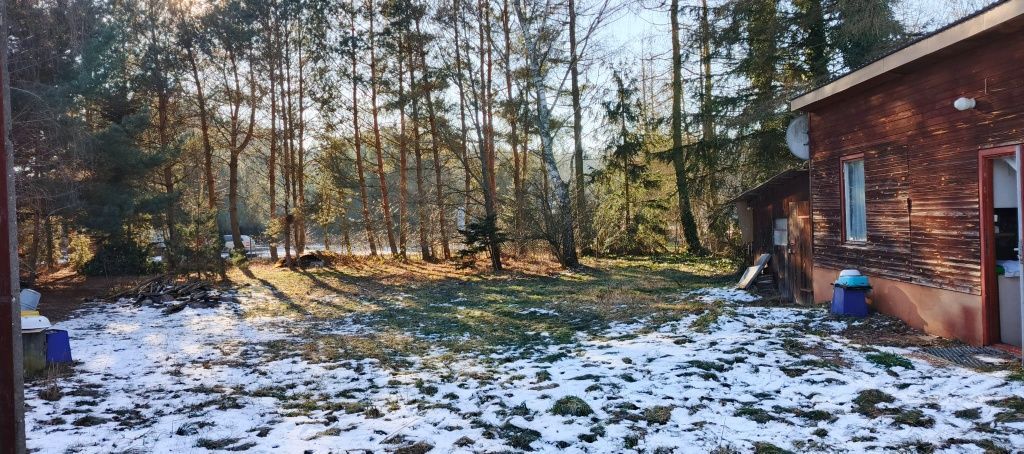 Działka rolno-budowlana Pszczółki. Zdjęcie 6