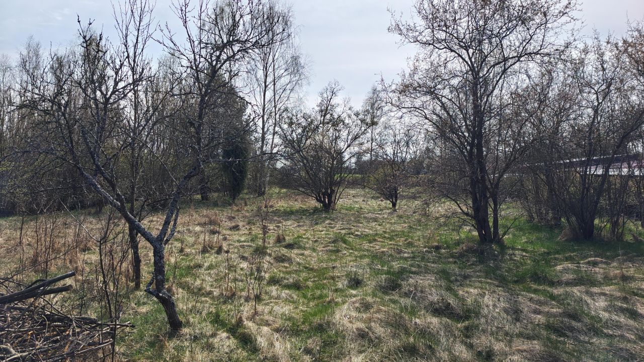 dom wolnostojący, 3 pokoje Kawęczyn. Zdjęcie 6