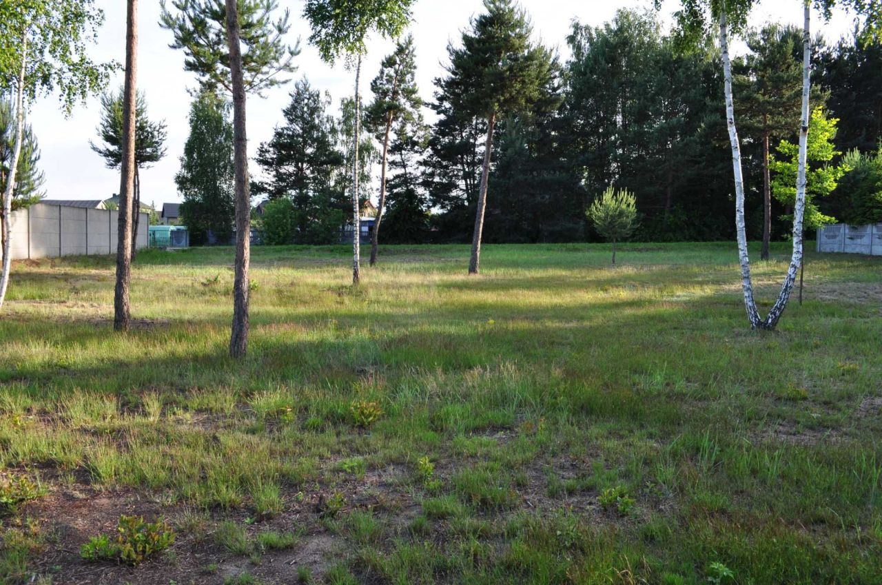 Działka budowlana Słopiec Rządowy-Kolonia. Zdjęcie 7