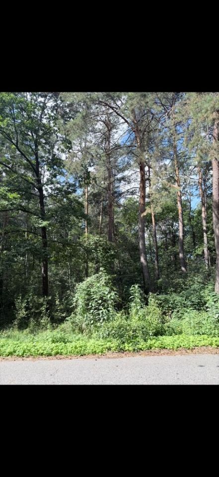 Działka Curyn. Zdjęcie 6