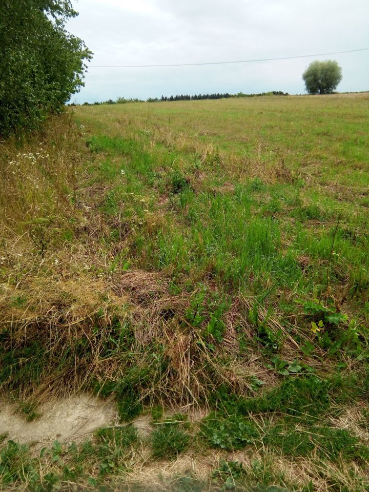 Działka rolno-budowlana Janów. Zdjęcie 8