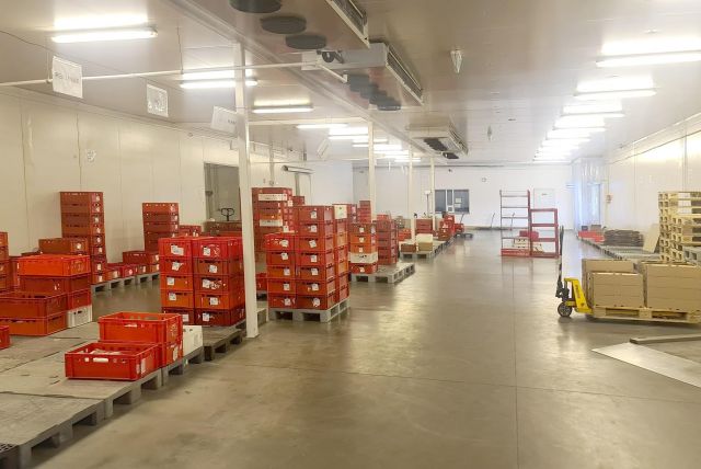 Hala/magazyn Kraków Rybitwy, ul. Bazarowa. Zdjęcie 1