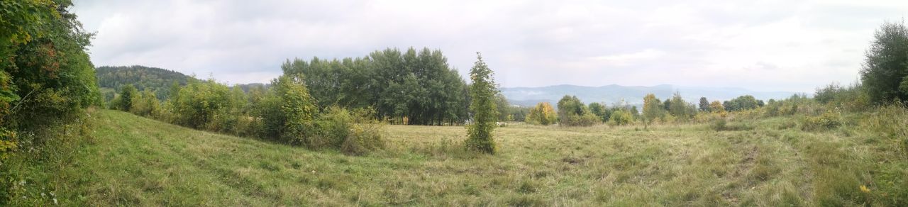 Działka rolno-budowlana Grzmiąca. Zdjęcie 7