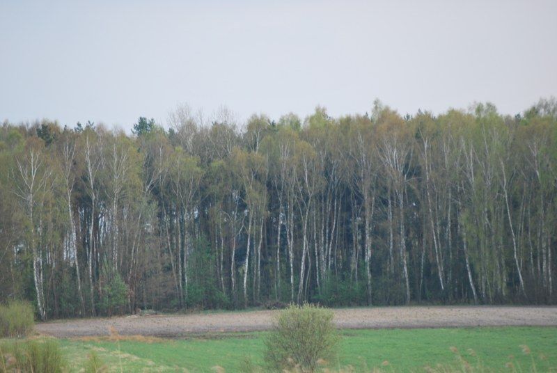 Działka budowlana Cyganka, ul. Szkolna. Zdjęcie 6