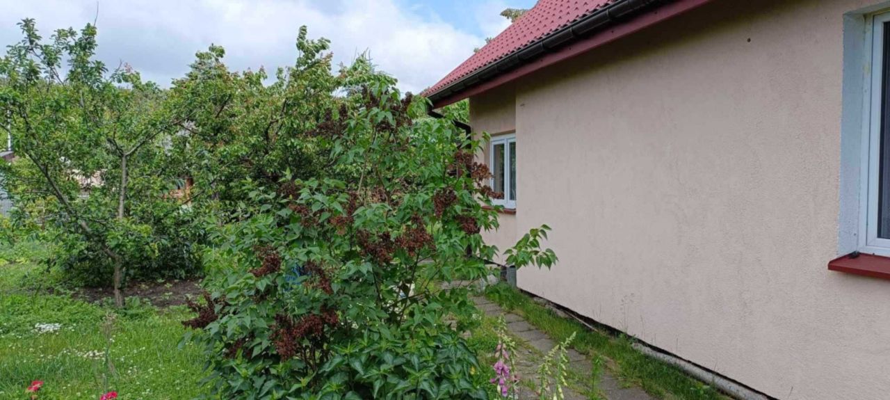 Działka rod Wistka Królewska. Zdjęcie 4