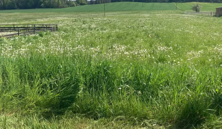 Działka budowlana Kopisk