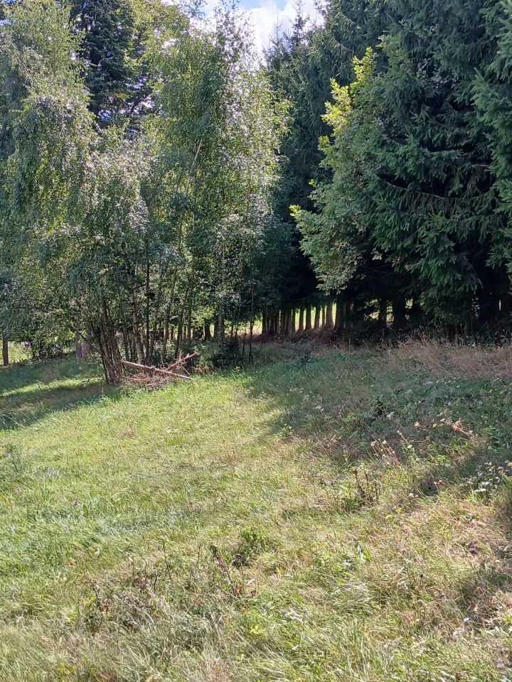 Działka rolno-budowlana Szczytna, Łeżyce 86. Zdjęcie 4