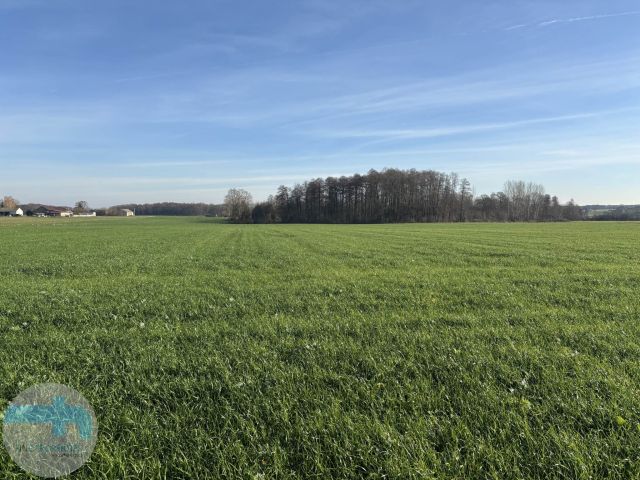 Działka siedliskowa Jaskółowo. Zdjęcie 4