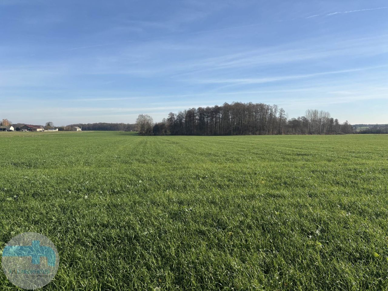 Działka siedliskowa Jaskółowo. Zdjęcie 4