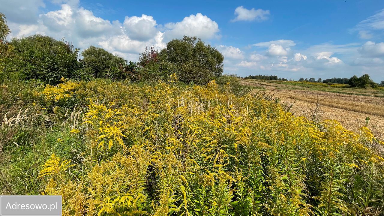 Działka budowlana Laszczki, ul. Tymiankowa. Zdjęcie 9