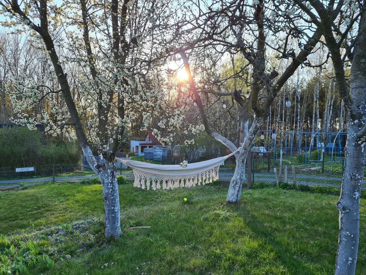 Działka rod Wilkanowo. Zdjęcie 7