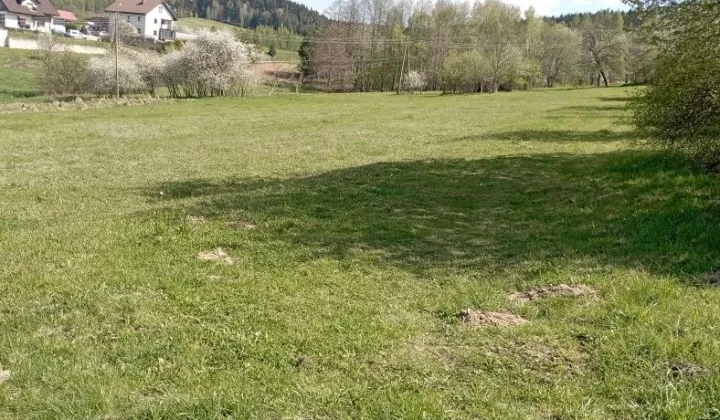 Działka rekreacyjna Dominikowice