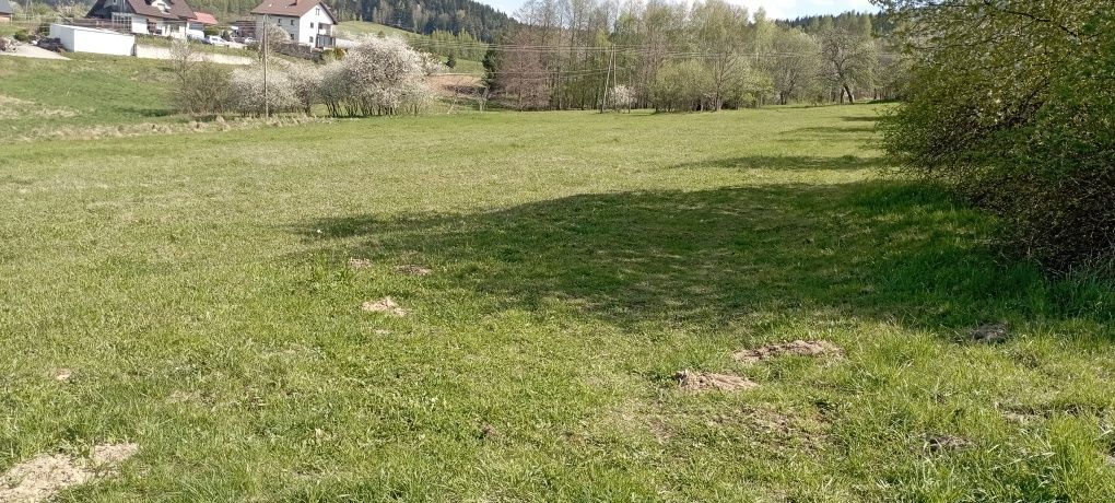 Działka rekreacyjna Dominikowice