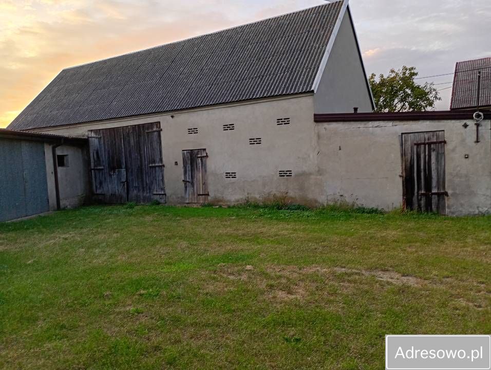 siedlisko Brzeźno. Zdjęcie 6