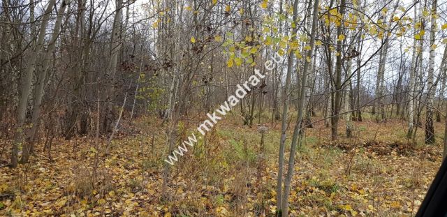 Działka budowlana Terenia. Zdjęcie 2