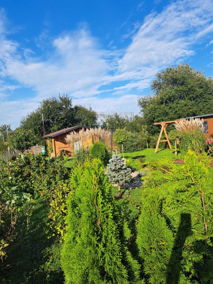 Działka rod Pruszcz Gdański. Zdjęcie 7