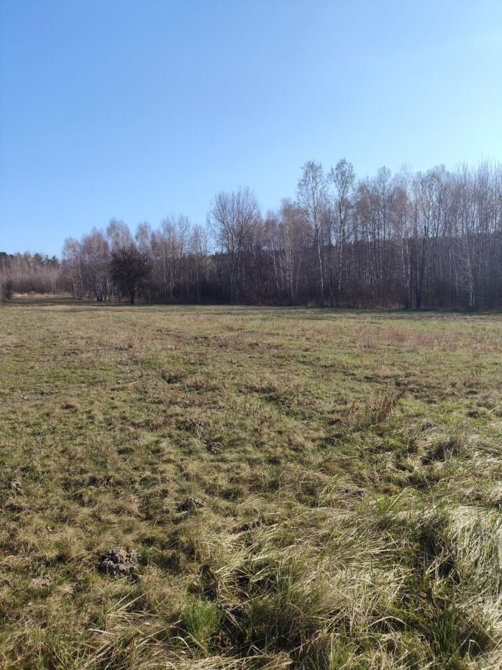 Działka budowlana Kostomłoty Drugie, ul. Wierzbowa. Zdjęcie 2