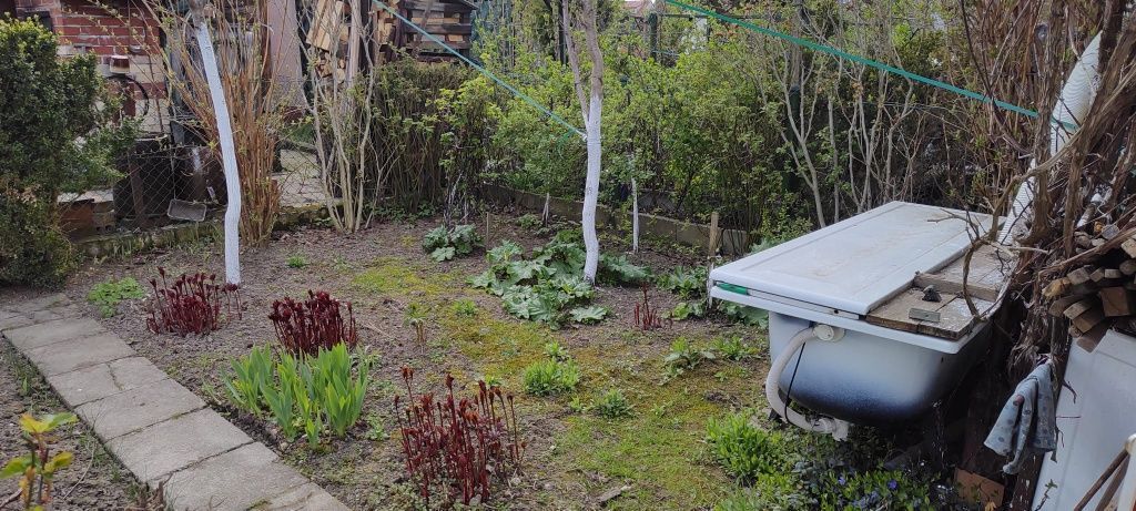 Działka rod Głogów, ul. Rudnowska. Zdjęcie 2