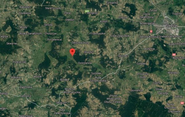 Działka rolna Żeliszew Duży. Zdjęcie 2