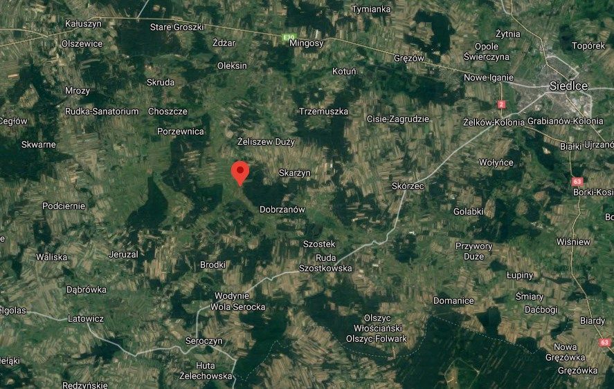 Działka rolna Żeliszew Duży. Zdjęcie 2