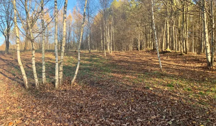 Działka budowlana Staniszów, ul. Zielona