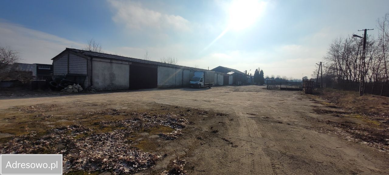 Hala/magazyn Suchodół. Zdjęcie 5