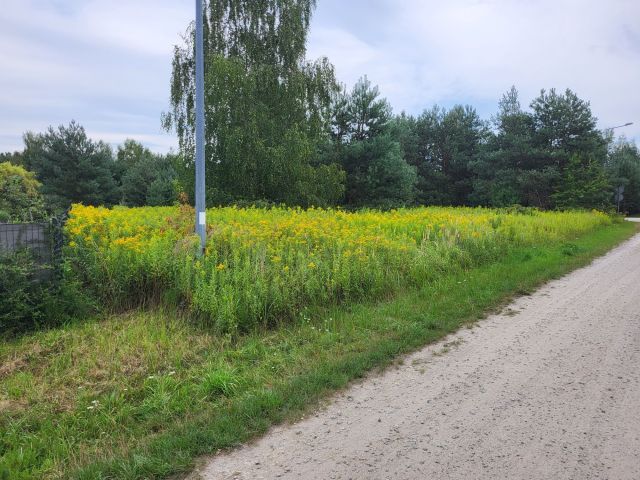 Działka budowlana Chrząstawa Wielka. Zdjęcie 1