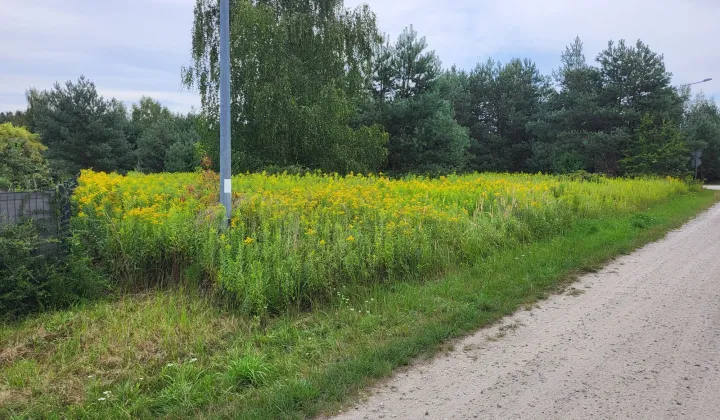 Działka budowlana Chrząstawa Wielka