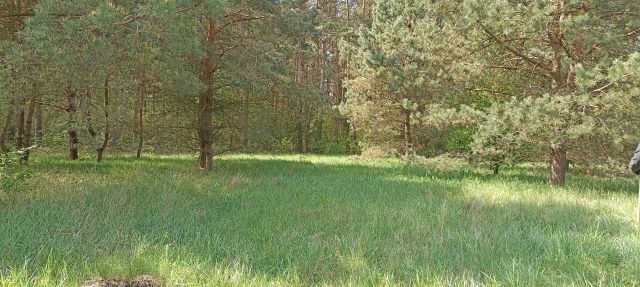 Działka rekreacyjna Mącice. Zdjęcie 1