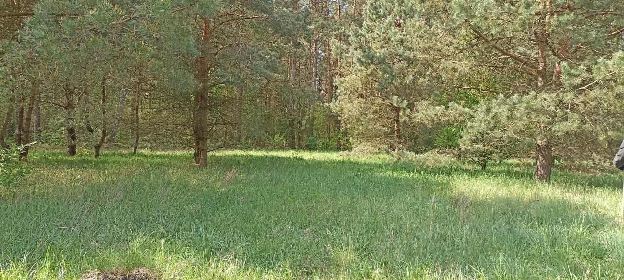 Działka rekreacyjna Mącice