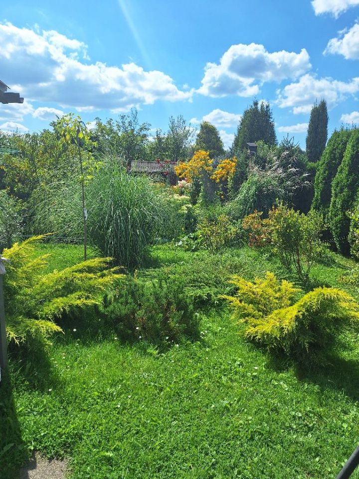 Działka rod Jastrzębie-Zdrój, ul. Wojciecha Korfantego. Zdjęcie 6