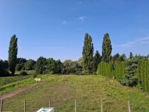 Działka budowlana Rypin, ul. Toruńska