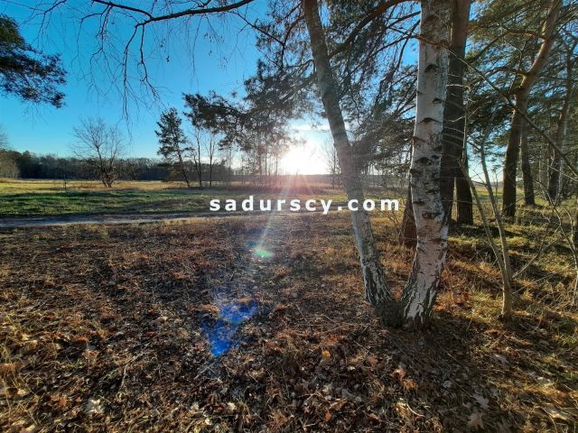 Działka budowlana Baniocha. Zdjęcie 4