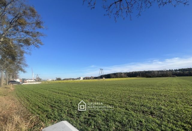 Działka inwestycyjna Bolechowo. Zdjęcie 4