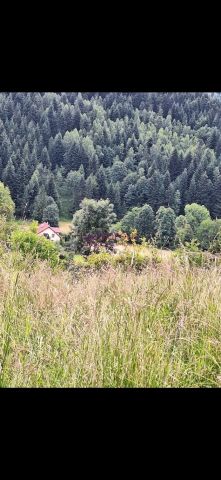 Działka Sopotnia Wielka. Zdjęcie 2