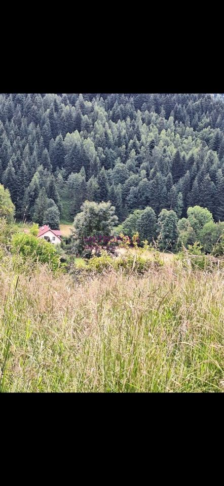 Działka Sopotnia Wielka. Zdjęcie 2