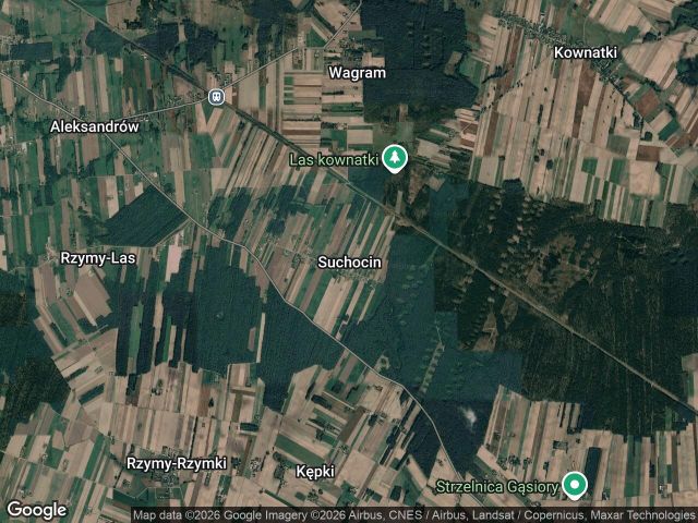 Działka leśna Suchocin. Zdjęcie 1
