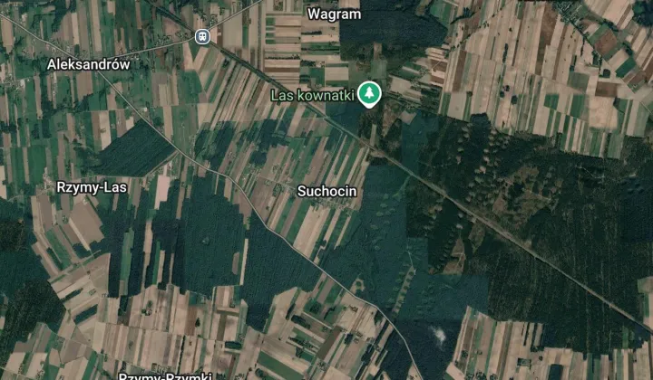 Działka leśna Suchocin