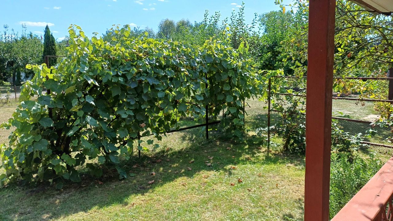 Działka rod Konin, ul. Kleczewska. Zdjęcie 2