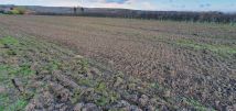 Działka rolna Samborzec, Polanów. Zdjęcie 3