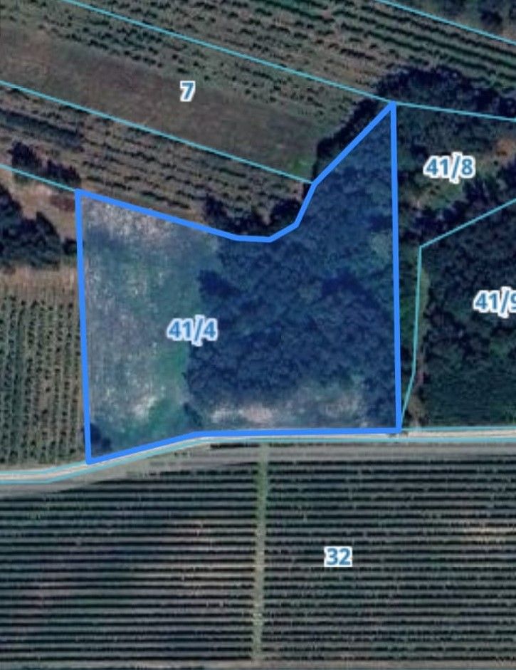 Działka budowlana Wola Grabska. Zdjęcie 2