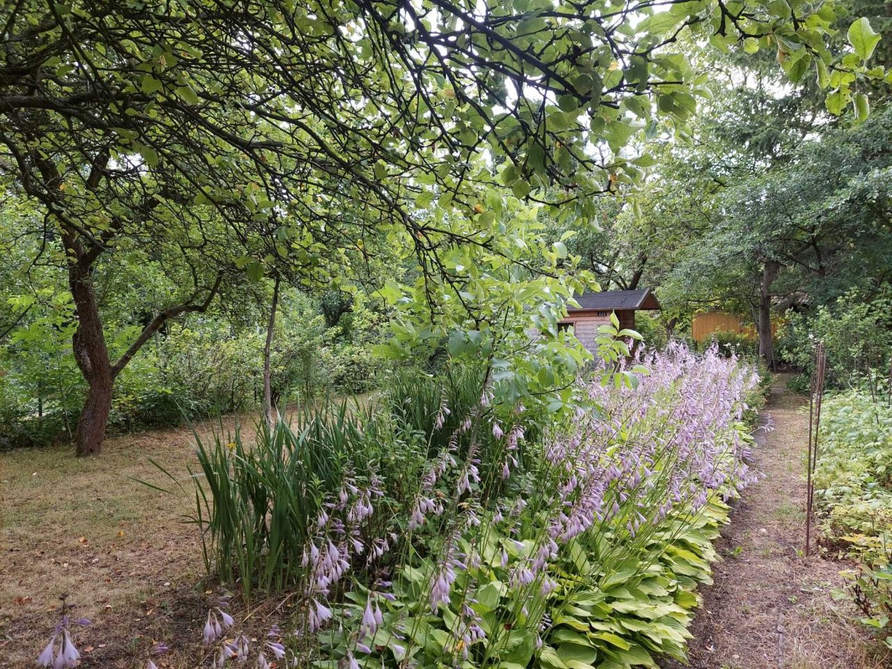 Działka rod Warszawa Szczęśliwice. Zdjęcie 8