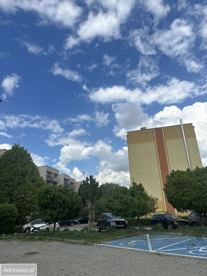 Działka rolna Zielona Góra Centrum, ul. Stefana Batorego. Zdjęcie 4