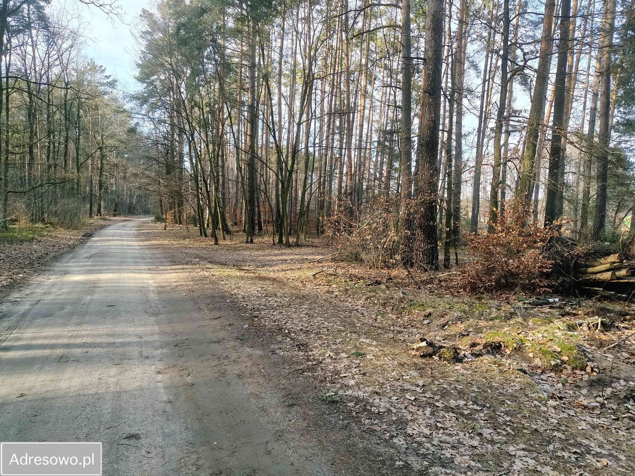 Działka budowlana Biadaszka. Zdjęcie 5