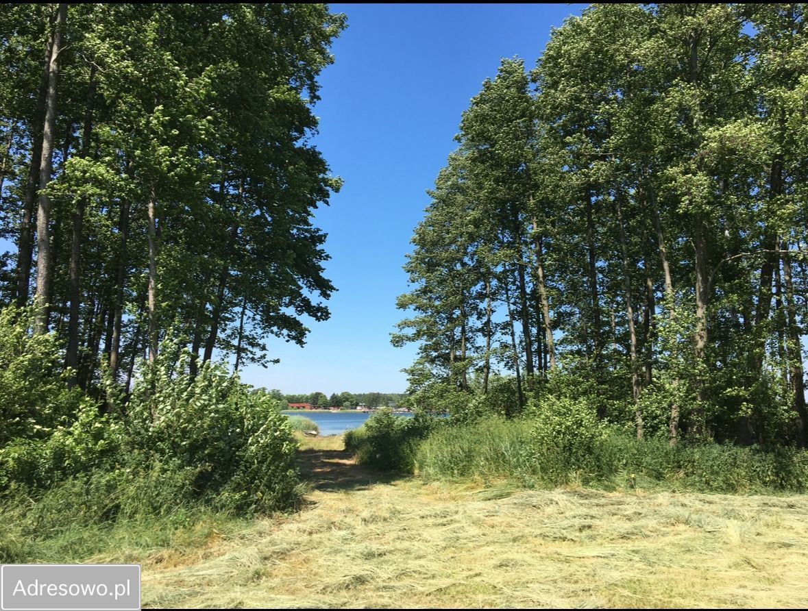Działka inwestycyjna Prądocin. Zdjęcie 6