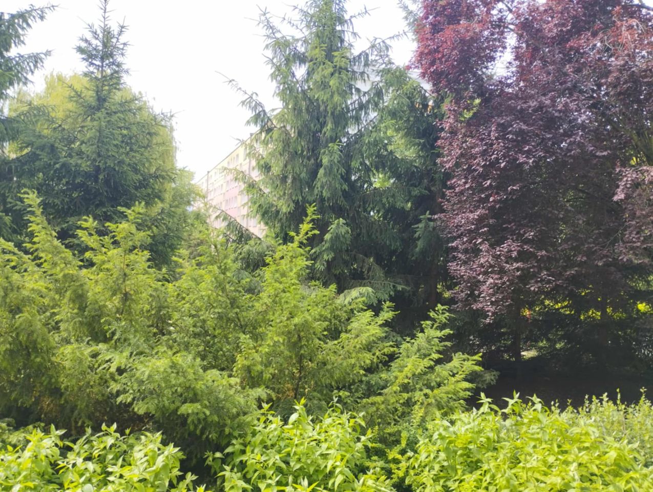 Mieszkanie 2-pokojowe Poznań Nowe Miasto, os. Rzeczypospolitej. Zdjęcie 8