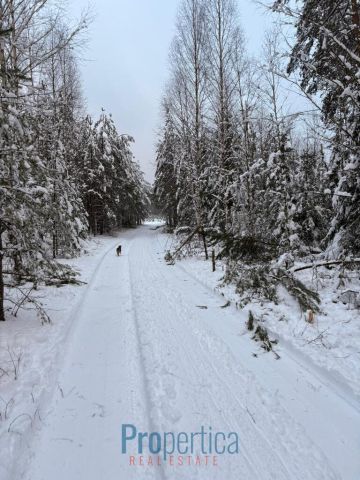 dom wolnostojący, 3 pokoje Natać Wielka. Zdjęcie 18