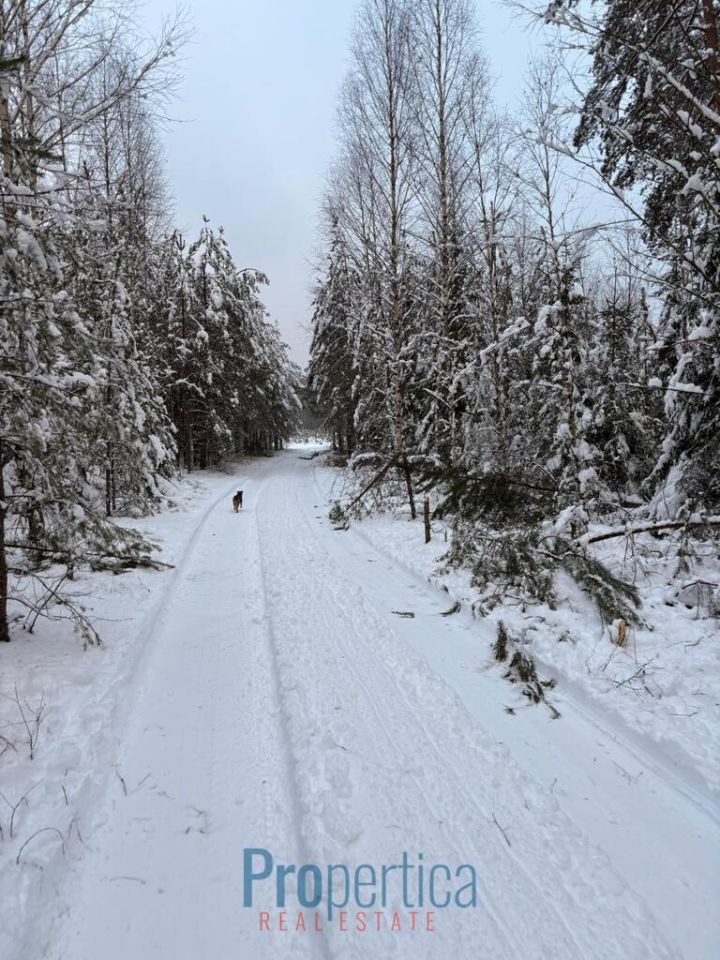 dom wolnostojący, 3 pokoje Natać Wielka. Zdjęcie 18